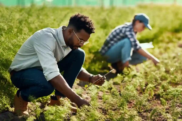 agriculture job